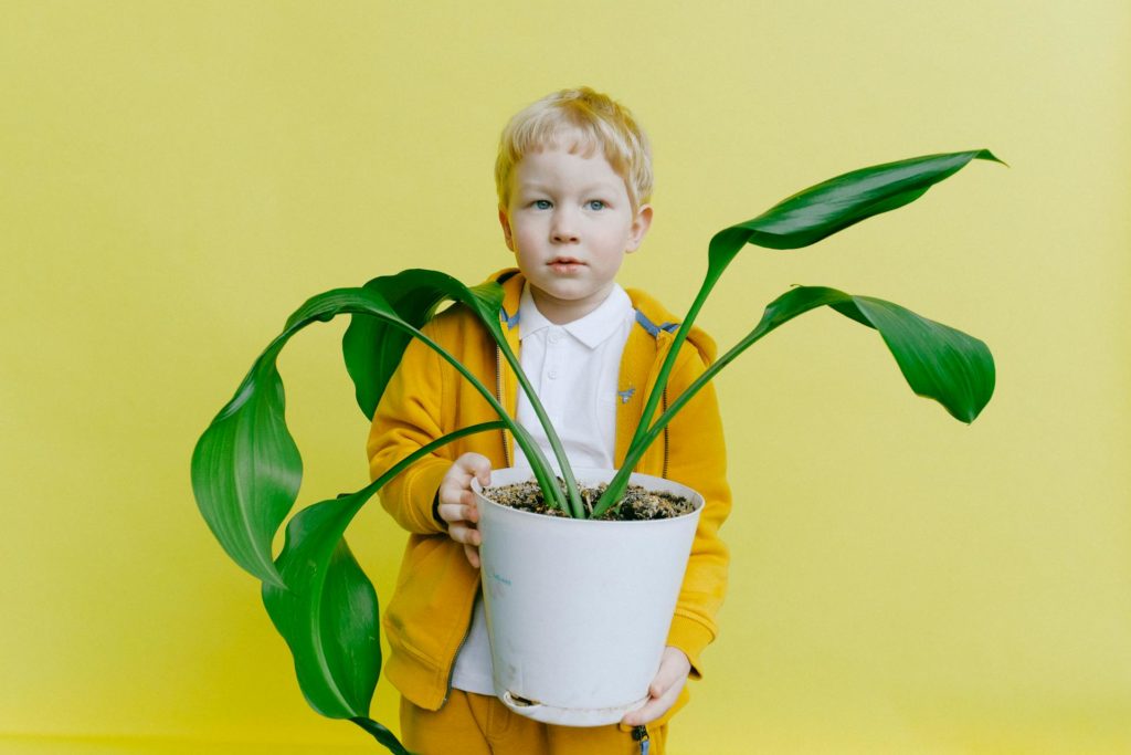 Foto door Anna Shvets: https://www.pexels.com/nl-nl/foto/jonge-jongen-die-in-jasje-witte-bloempot-houdt-3771640/